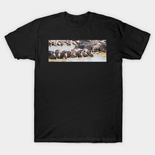 Zebra drinking. T-Shirt